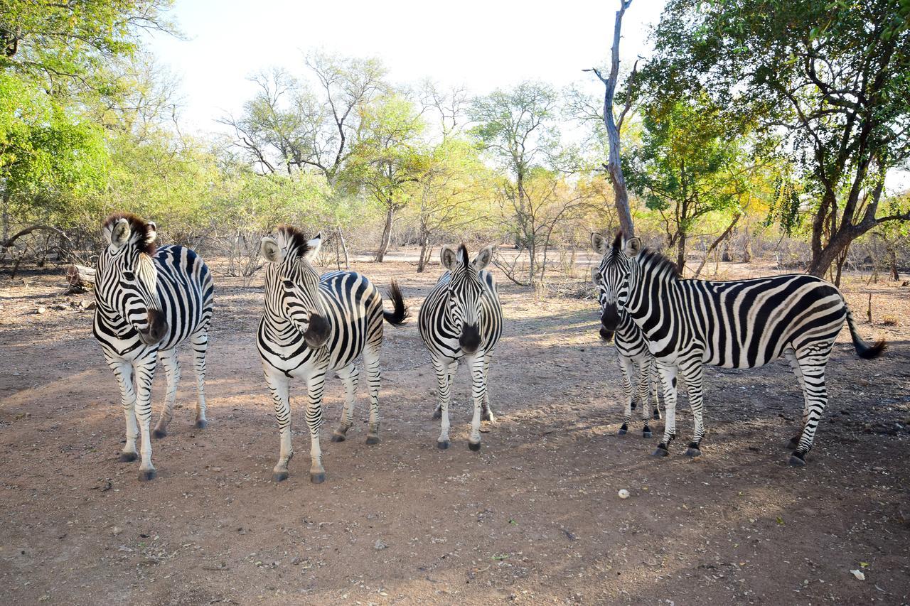 Mananga Bush Villa Skukuza Exteriér fotografie